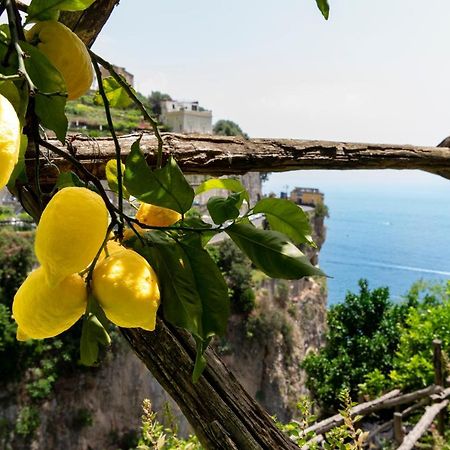 Hotel La Pergola Amalfi Luaran gambar