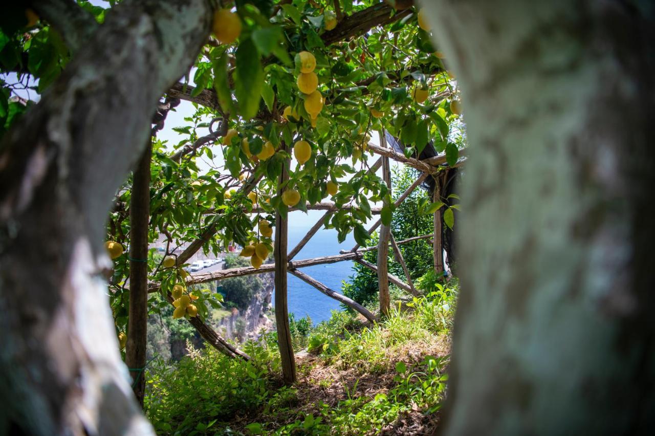 Hotel La Pergola Amalfi Luaran gambar