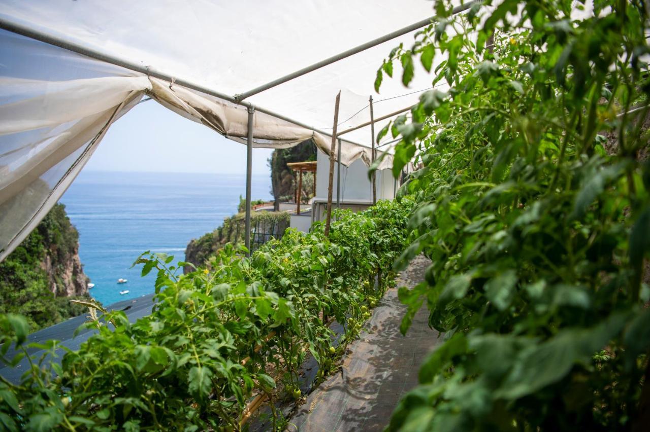 Hotel La Pergola Amalfi Luaran gambar